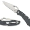 Cara Cara&reg; 2 Gray FRN<Spyderco Best