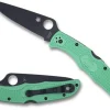 Endura&reg; 4 Lightweight Mint FRN CPM M4 Black Blade Exclusive<Spyderco New